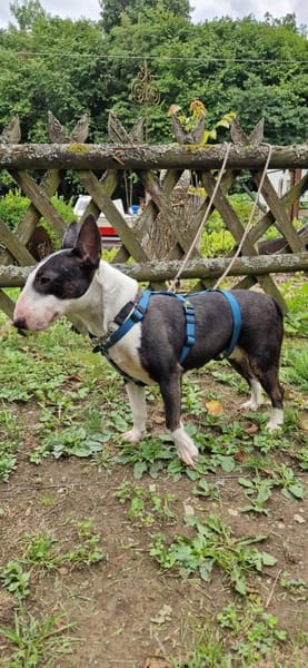 Esther