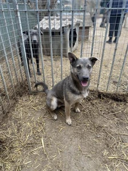 Tatra sucht eigenen Wirkungskreis