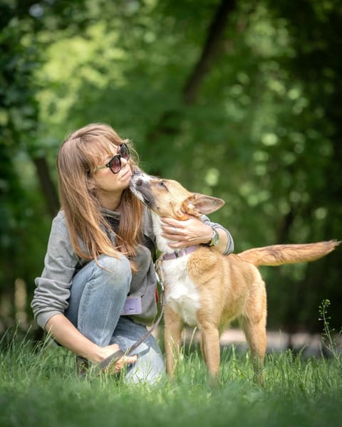 Lulu