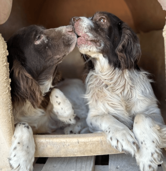 Bonnie & Clyde
