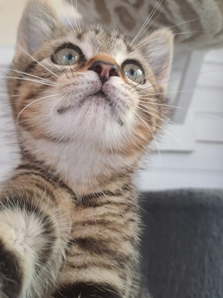 JIM