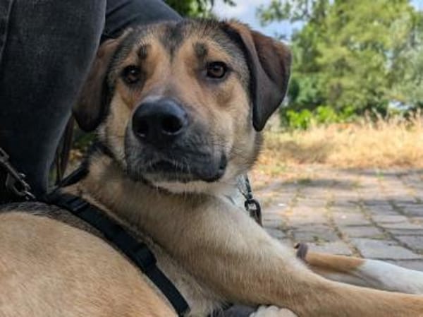 Lerne Nena (1,5 Jahre) in Leipzig kennen