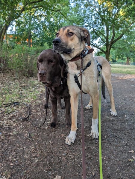 Lerne Nena (1,5 Jahre) in Leipzig kennen
