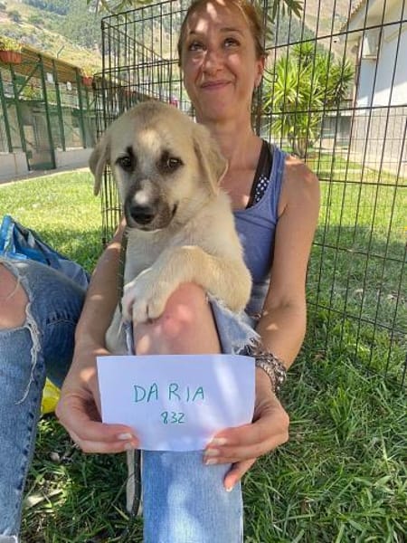 Wir suchen jeweils eine Familie