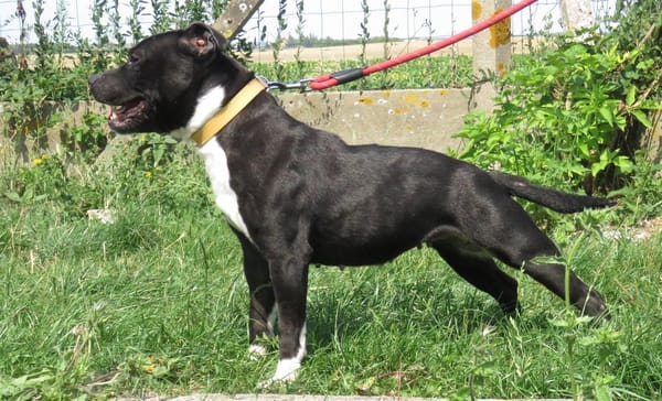 RUBY (réservée)