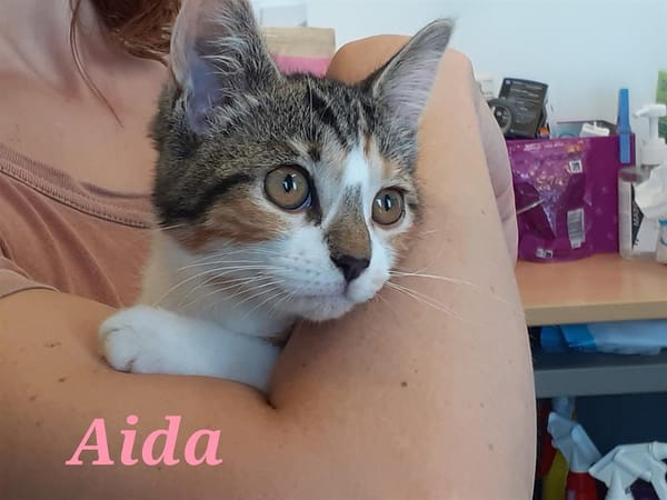 Aida