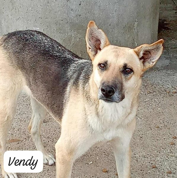 VENDY