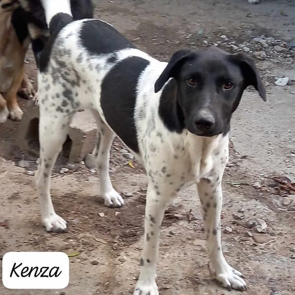 KENZA