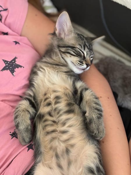 MARLEY