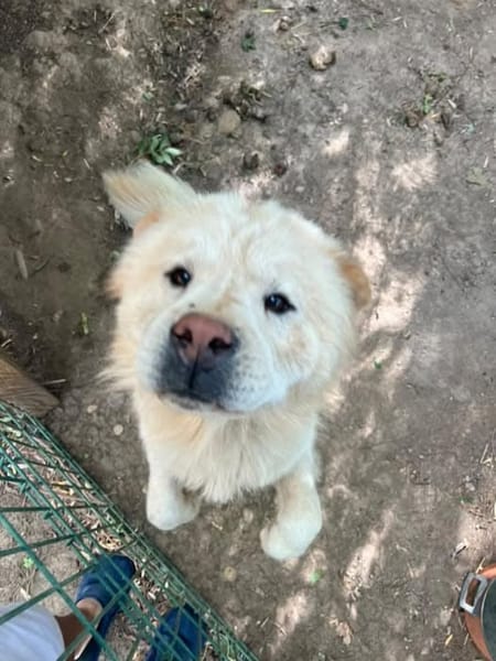 BALU