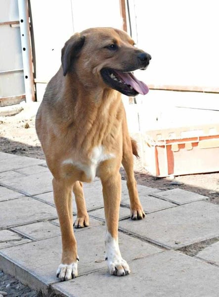 EROS