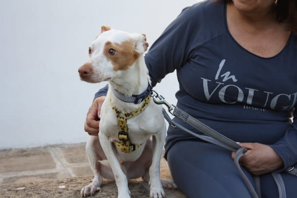 CHICO