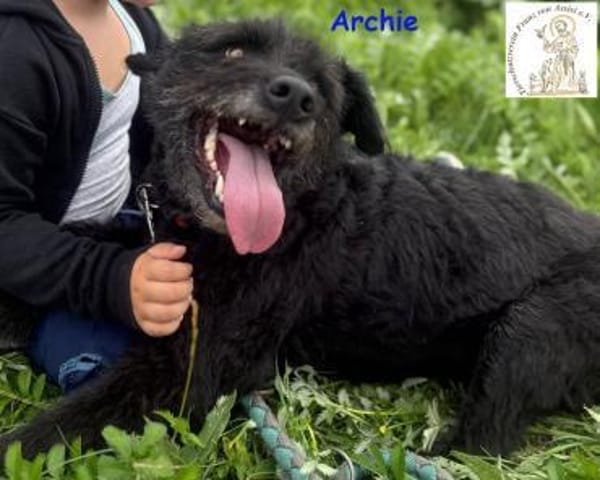 Archie  kleiner Clown mit großem Herz