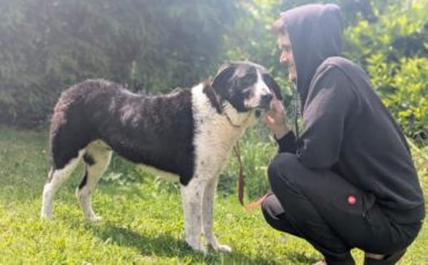 Bezaubernde Grace sucht Körbchen