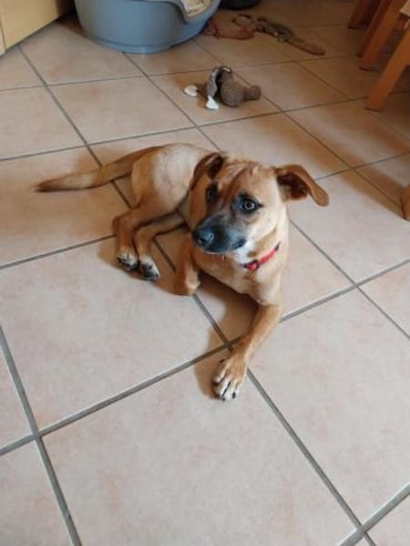 Nelly  - munter und aufgeweckt