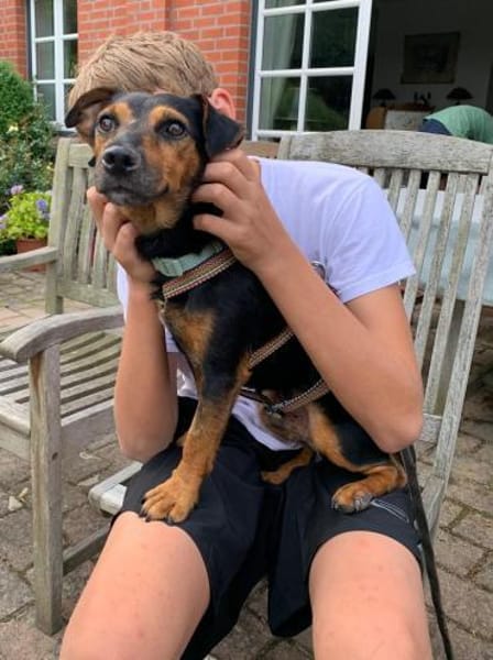 Roco4 sucht ein Zuhause/Pflegestelle