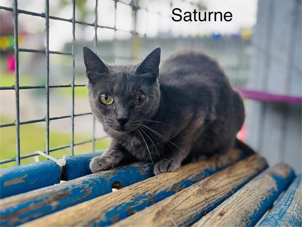 Saturne