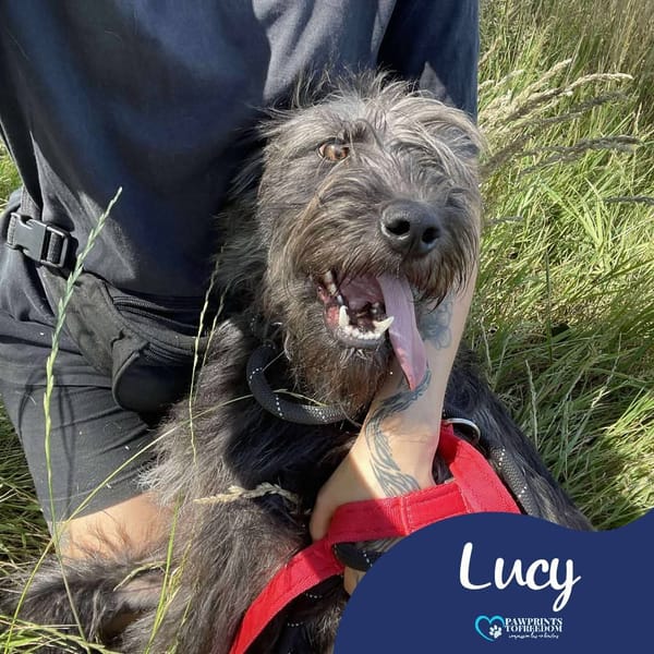 Lucy