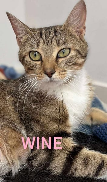 WINE