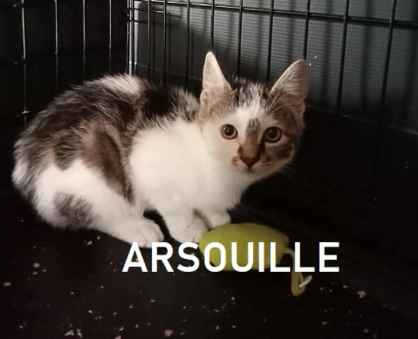 ARSOUILLE