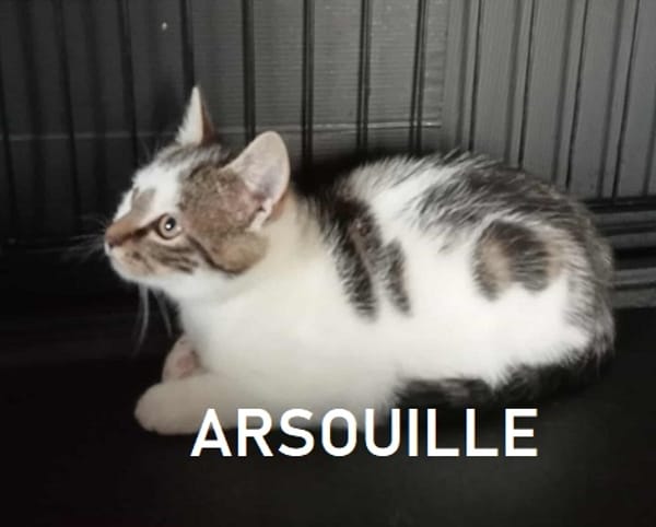 ARSOUILLE