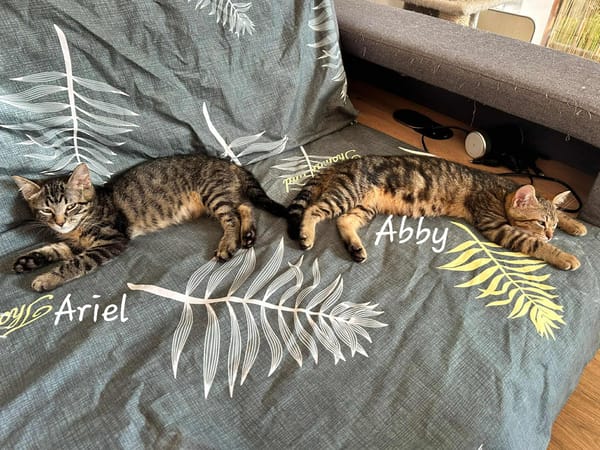 ARIEL et ABBY   Double adoption