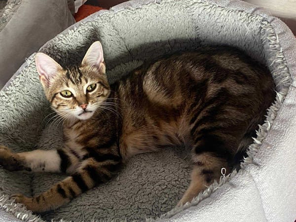 Chloé