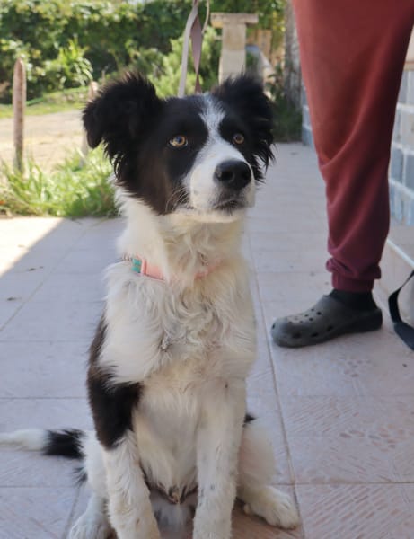 MAX (Martina)