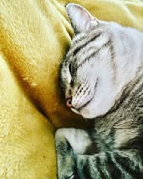 BOUBA