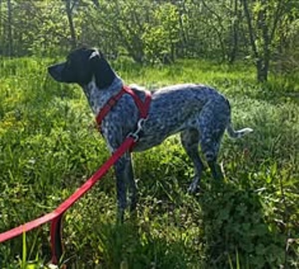 NALA