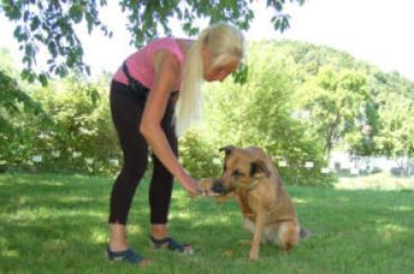 AMY-MA - bezaubernde Hundedame