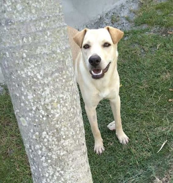 Super BUDY !