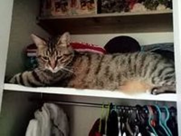MINOU
