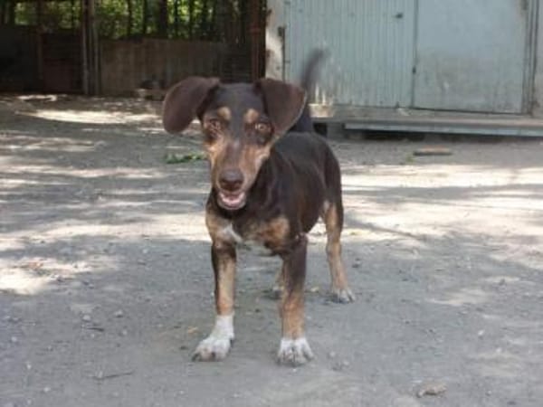 Jasmin sucht eine liebevolle Familie
