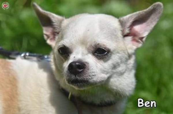 BEN