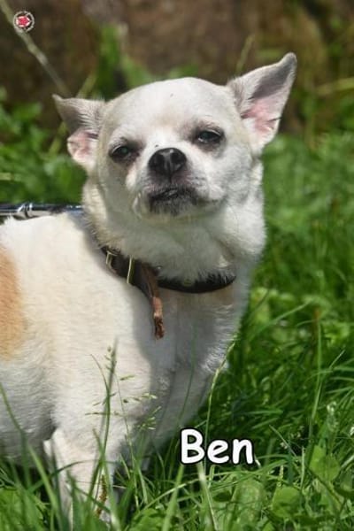 BEN