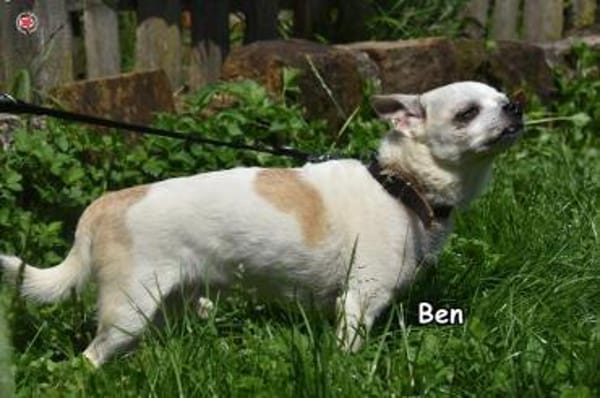 BEN