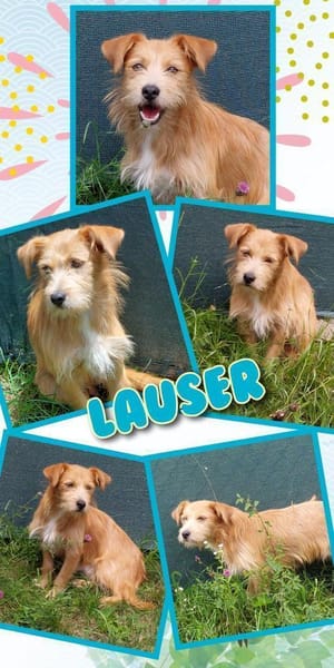 Süßer Lauser in Nürnberg!
