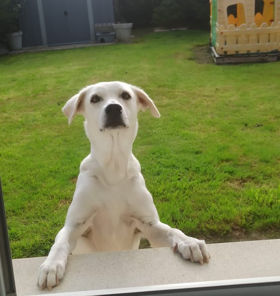 LILOU