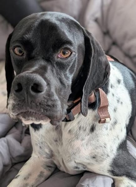 Onyx  Ein 6er im Lotto