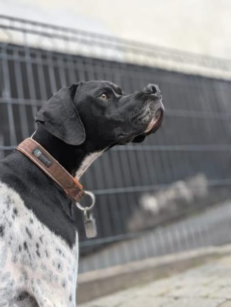 Onyx  Ein 6er im Lotto