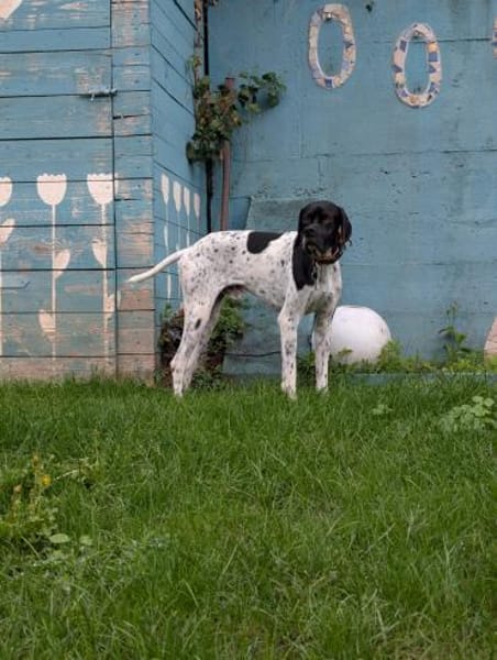 Onyx  Ein 6er im Lotto
