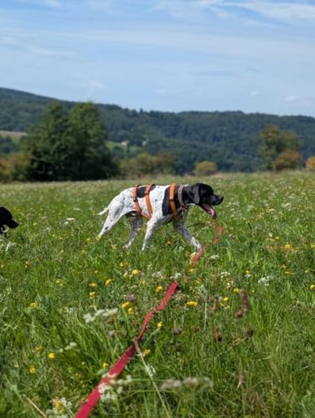 Onyx  Ein 6er im Lotto