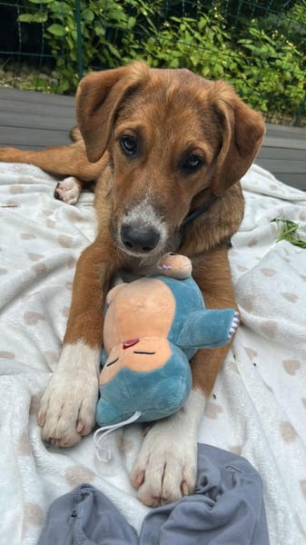 Matti wartet auf seine Herzensmenschen
