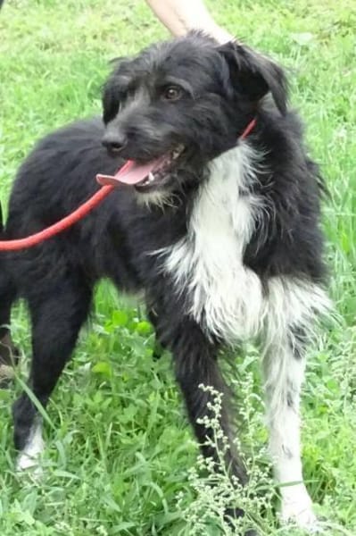COOPER wartet schon lange
