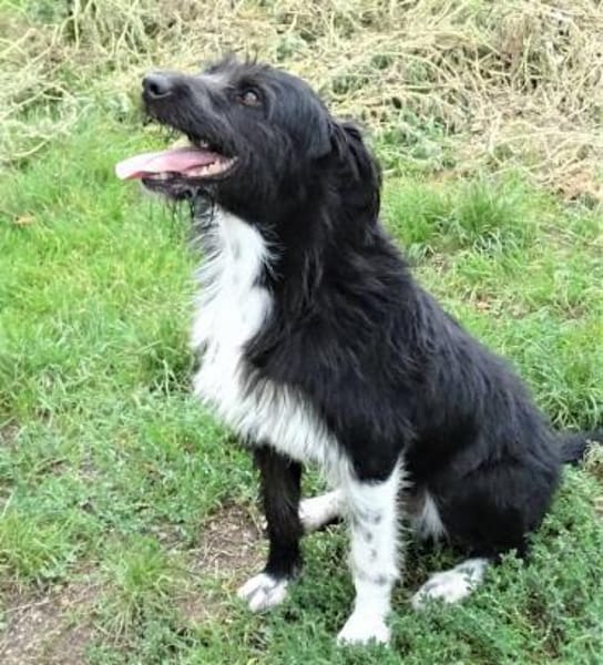 COOPER wartet schon lange