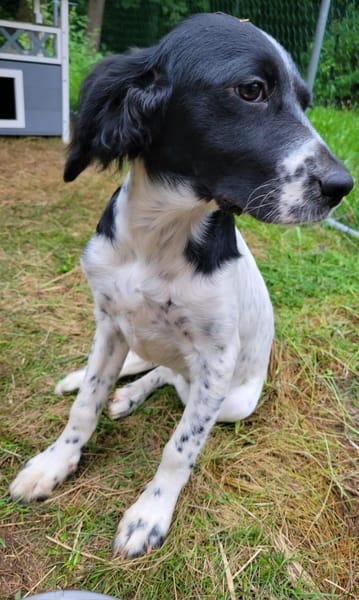 Gaby  Happy-Home  gesucht