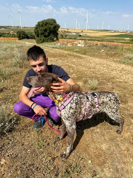 GITANA (Animalea)