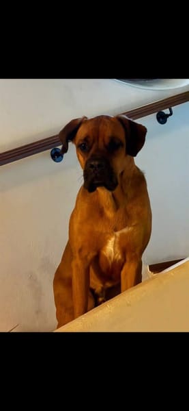ELLIOT