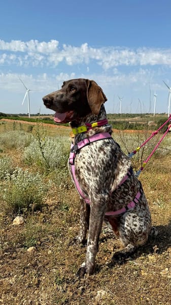 GITANA (Animalea)